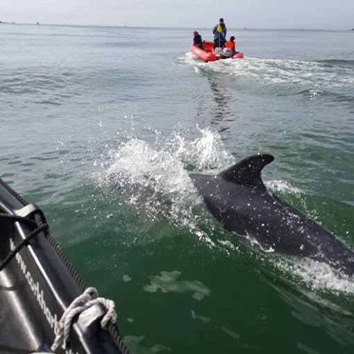 a group of people riding on the back of a boat in the water